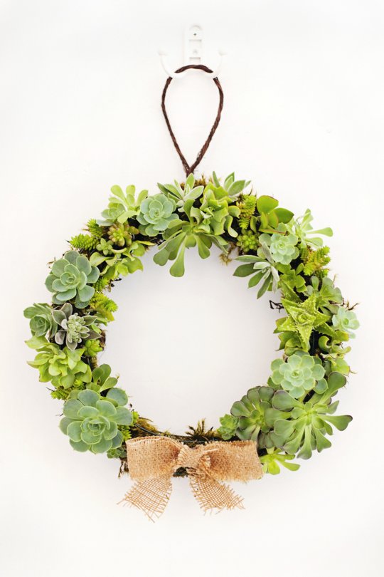 How To Make a Succulent Wreath — Apartment Therapy Tutorial